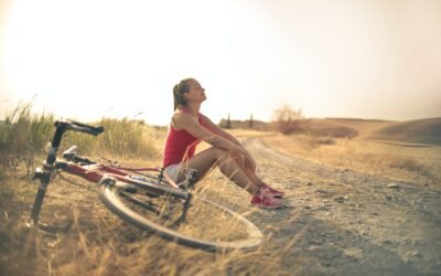 What is Lifework and Why Is it Important for Your Well-Being?