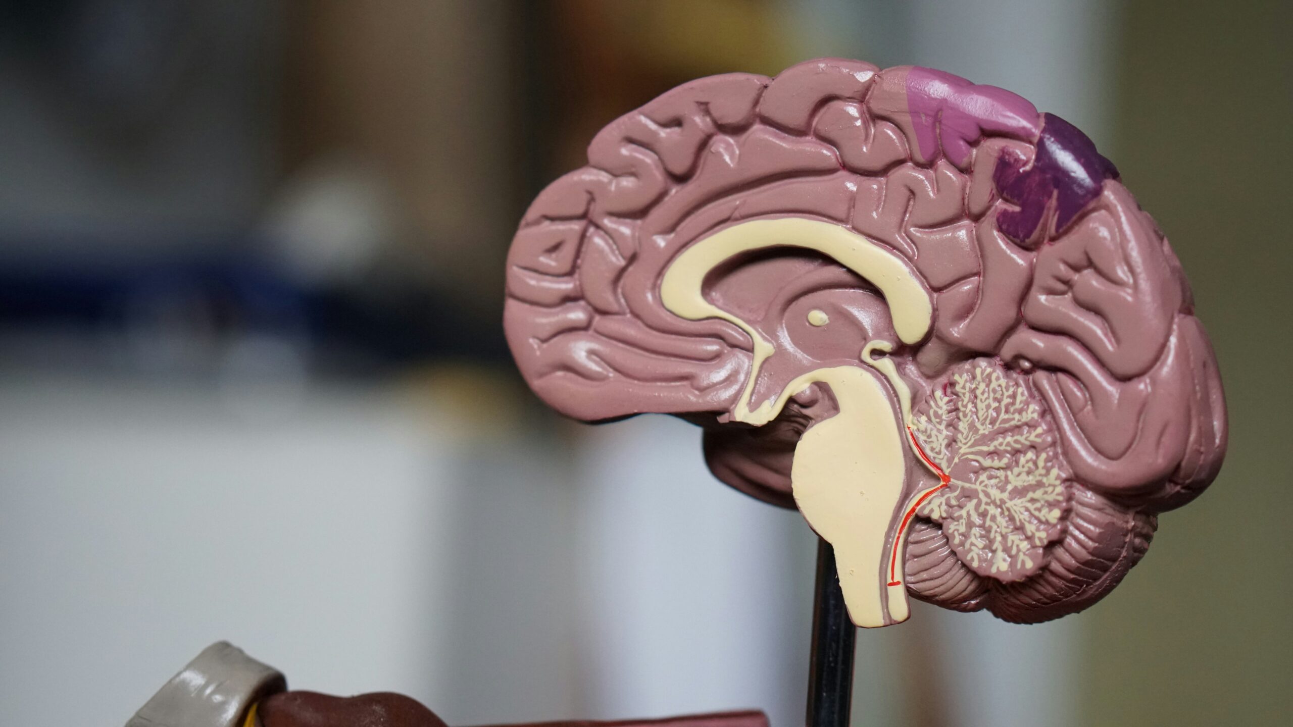 How can I find a Baltimore psychiatry clinic